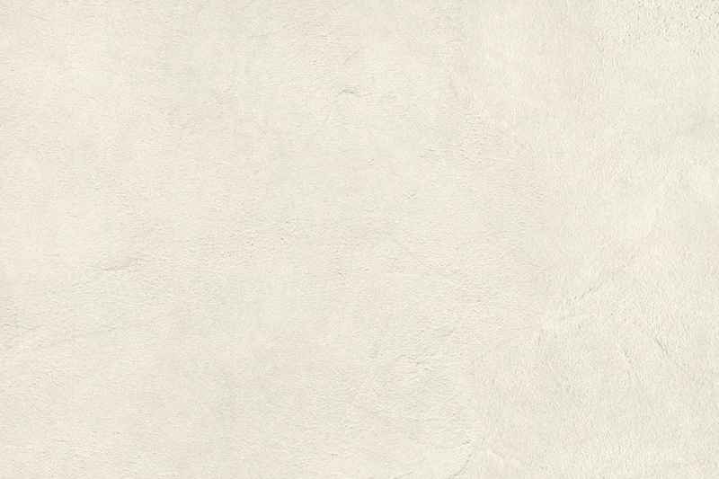 Аргиллит белый